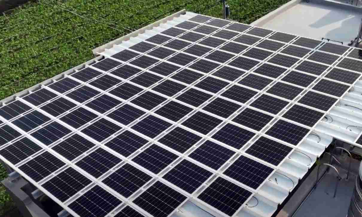 EBpaySunSteel光电浪板升级双玻结构，，以提升机械负载强度及气候耐候度，，可广泛运用于多元场域